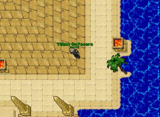 Timmy On Pacera · 7 Mar 2005