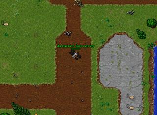 Arbuzer Sorcerer · Tibia 8.30