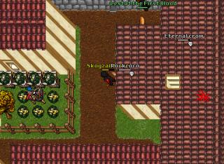 Funinthais 13931