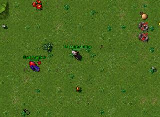 battelutandempah