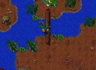 [Pacera] Great Behes & Hydras & GSes hunt