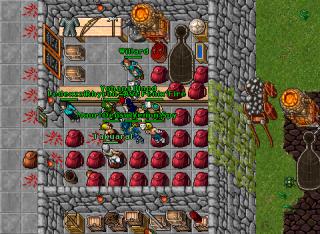Ave Fenix'Fire · Tibia 8.41