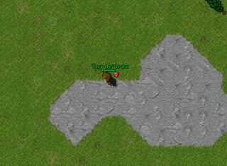Random pk xd 15043