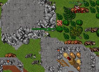 Noobs Dead