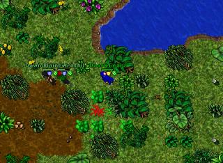 Forbidden land