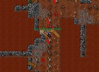 duarwi down