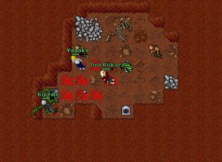 free boss Old Widow