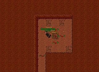 Hobondrus · 23 Aug 2004