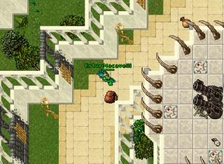 [Selena] Nerandil died like noob!