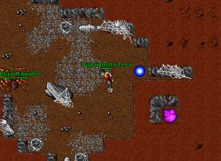 Pupui On Unitera · Tibia 8.61