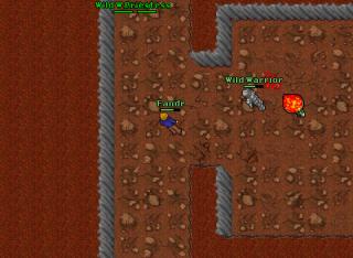 fandr edron-dungeon