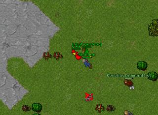 owinferna