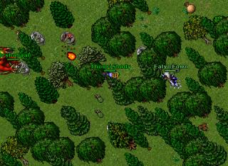 Thouri Shady · Tibia 8.40
