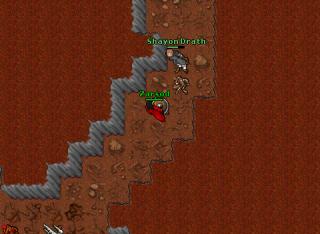 cavebott