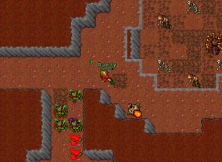Edron orc cave.