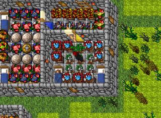 Vaipex · 11 Aug 2005