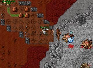 Devraj · Tibia 8.50