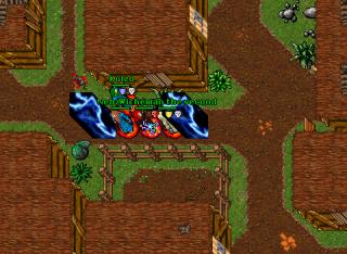Wicheman the second · Tibia 8.20