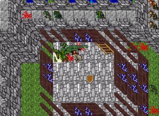 Kantinura · Tibia 7.11