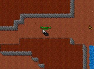 newestpk