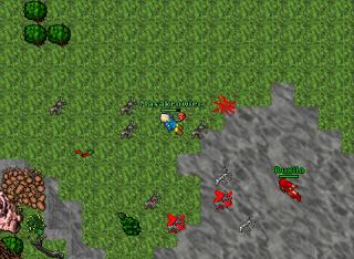 Aldora war