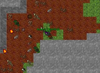 dragonarrows