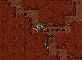 Botter.Hunt Rotworm