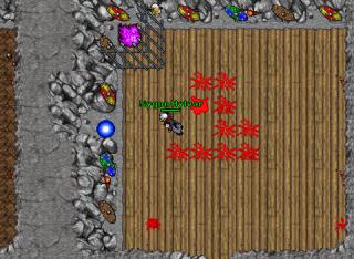 ED101 Arena 3