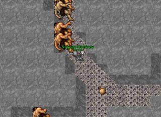 20elder