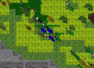 Bajtak Master · 29 Apr 2005