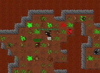 Mumio Hamilton · Tibia 7.60