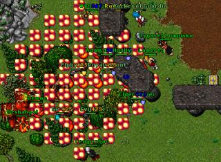 Orshaball Guardia