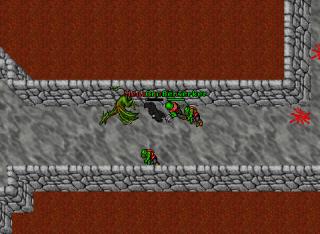 orc forest