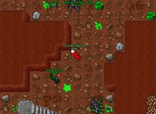ancient scarabs