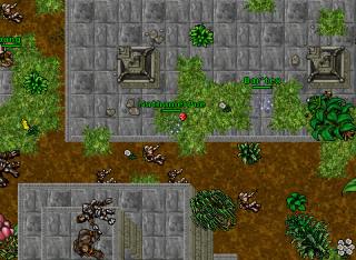 Nathaniel Poe · Tibia 8.20