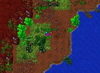 -8.40vision nie mam tibia skillsy