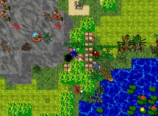 DruidElfGS