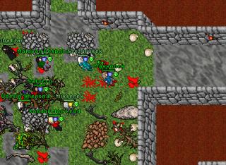Maxxonek · 3 May 2005