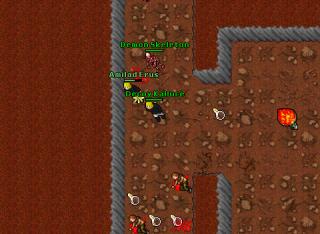 Amilad Decoy demon