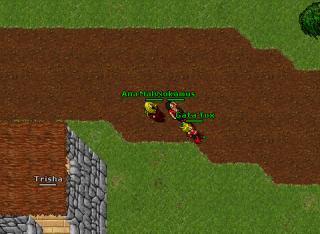 78ownage 11677