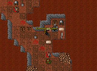 biggest pa on elysia