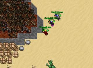 Giant Spider Darama
