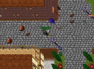 Risenth · Tibia 8.30