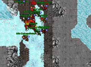 norseman service