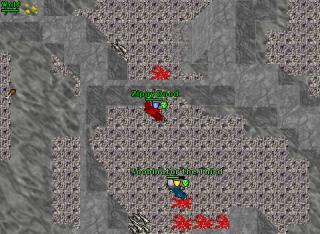 Orxlandz0r