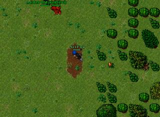 eder the druid 23206