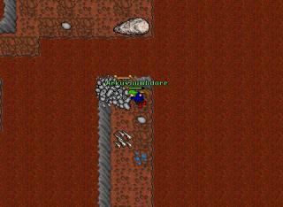 Arkus numbdore · 23 Feb 2005