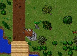 Adalaii · Tibia 8.54
