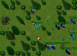 Shin Puna · Tibia 8.41