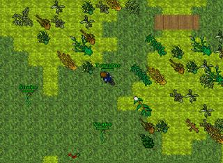Tryndor · 2 Feb 2005